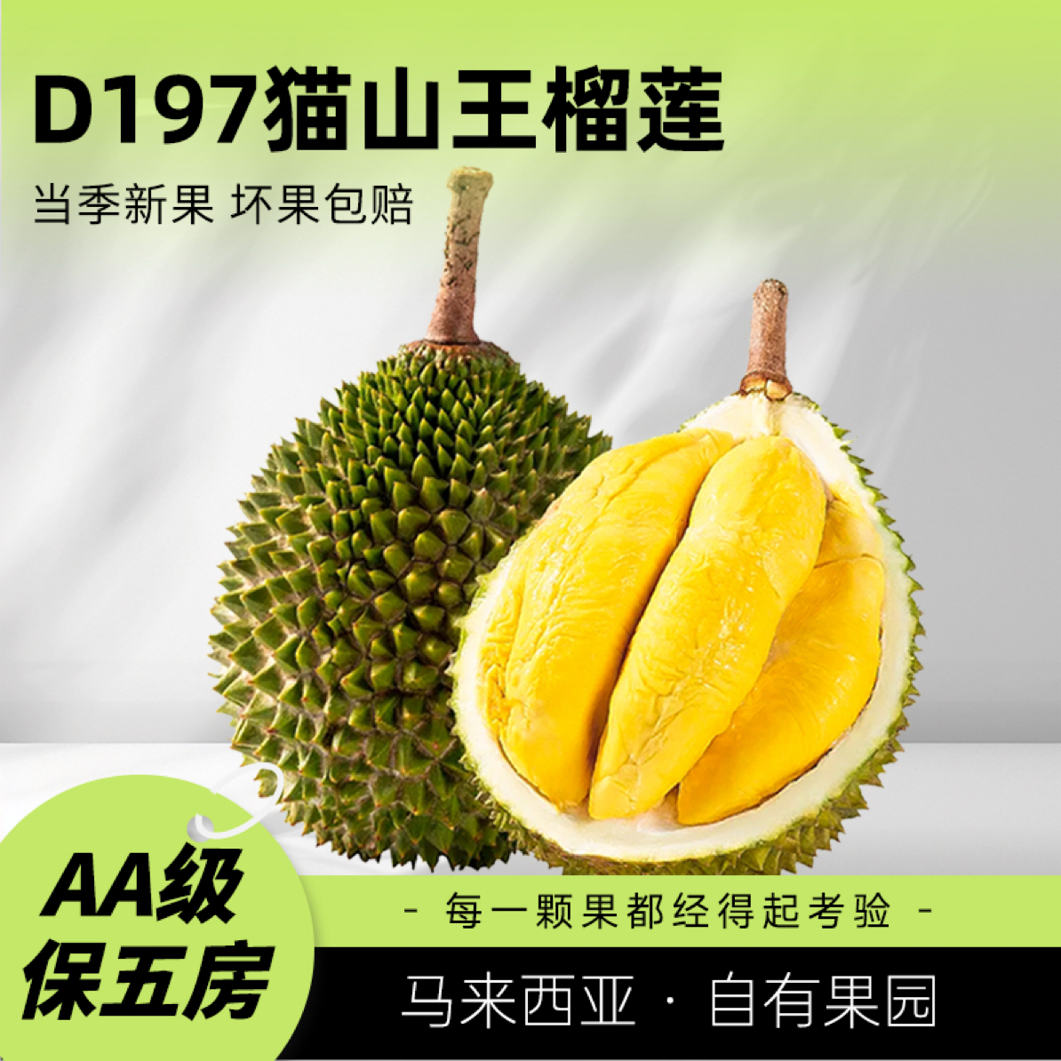 马来西亚D197 液氮猫山王榴莲猫山王马来西亚