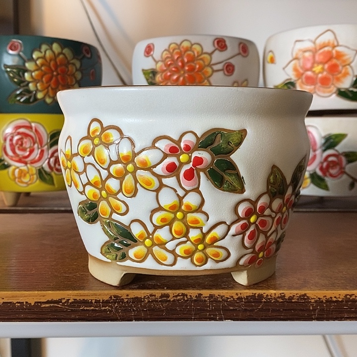 韩式多肉植物花盆