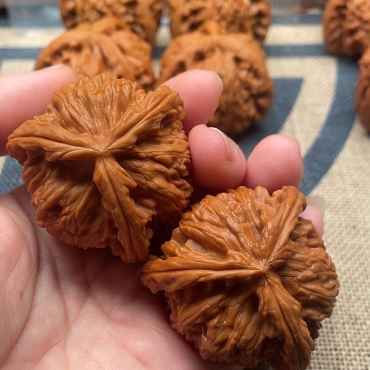 敷****核桃白狮子43核桃