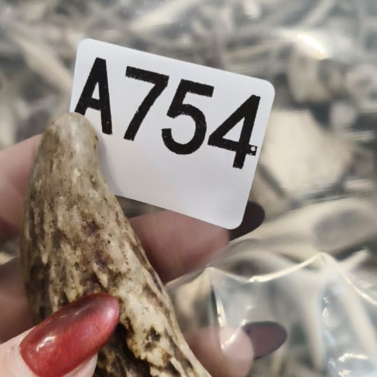 闲***事鹿角鹿角鹿角鹿角鹿角