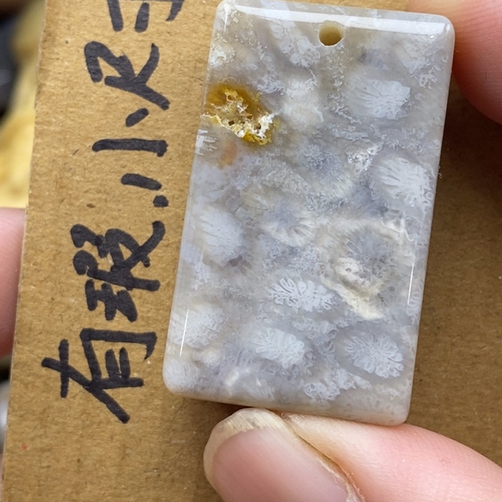 硅化珊瑚（珊瑚玉）未镶嵌颈饰