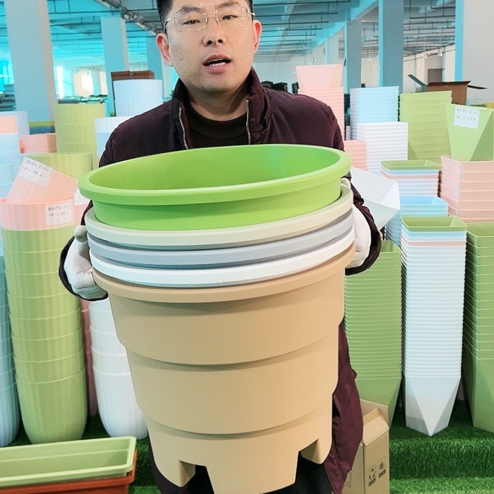 正品蓝莓盆口39高33白色3只无托