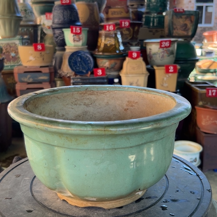 大***园我们的生活也是如此