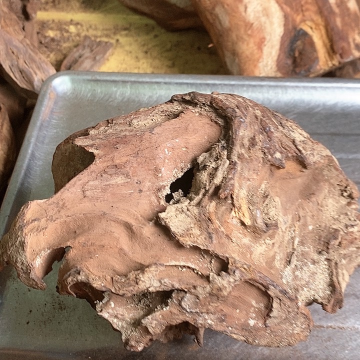 花梨木类小*豆海南黄油梨