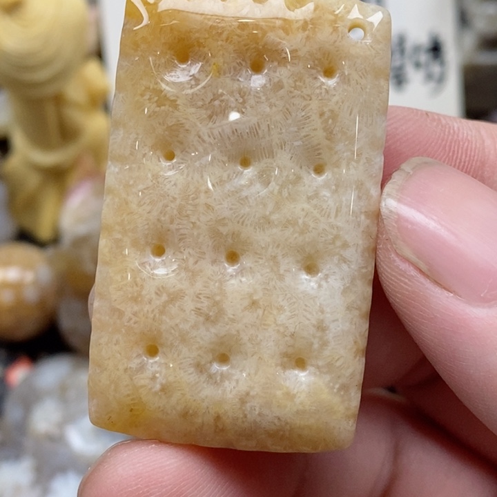 颈饰未镶嵌硅化珊瑚（珊瑚玉）