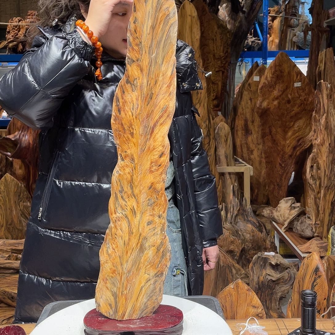 小***志松木（琥珀木）琥珀木