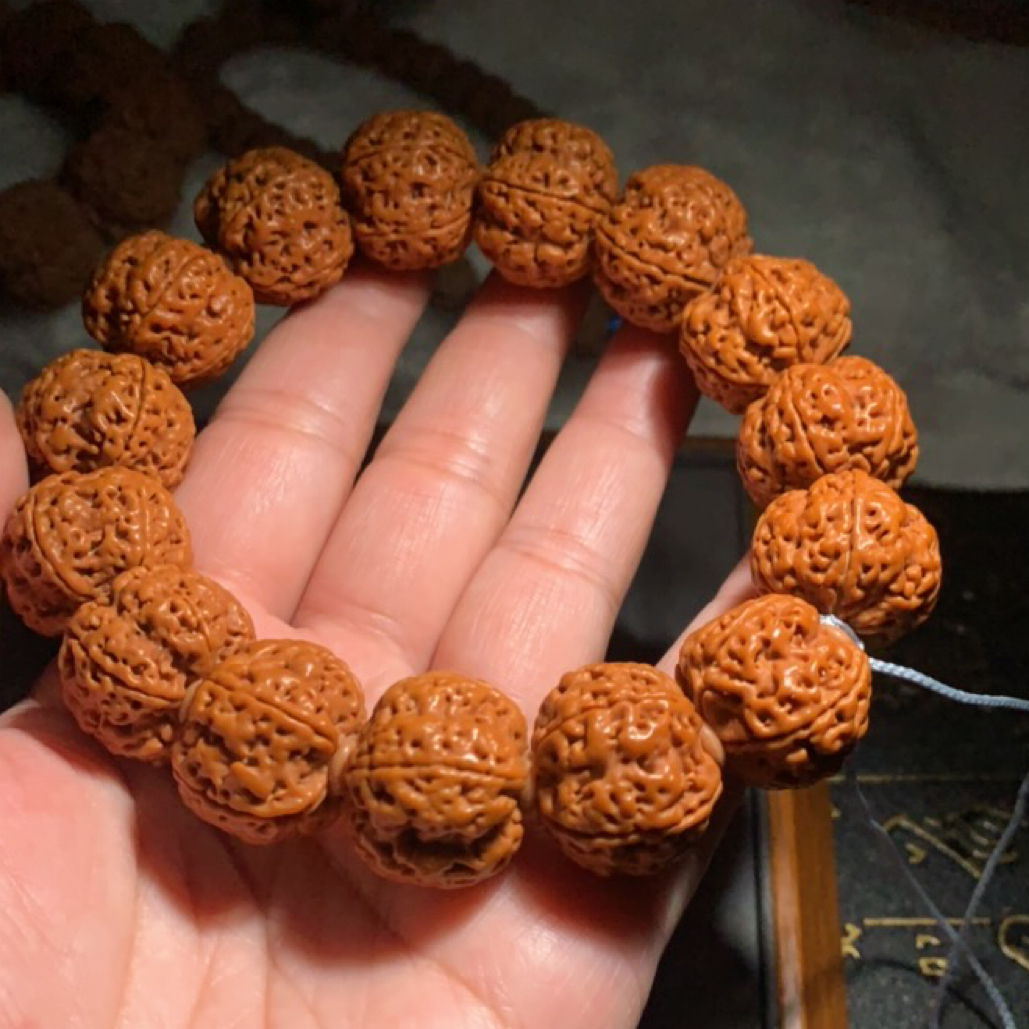 产季新籽老树蜂王