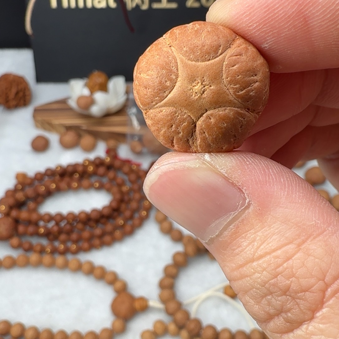 诺***旭凤眼菩提吊坠五星未打孔