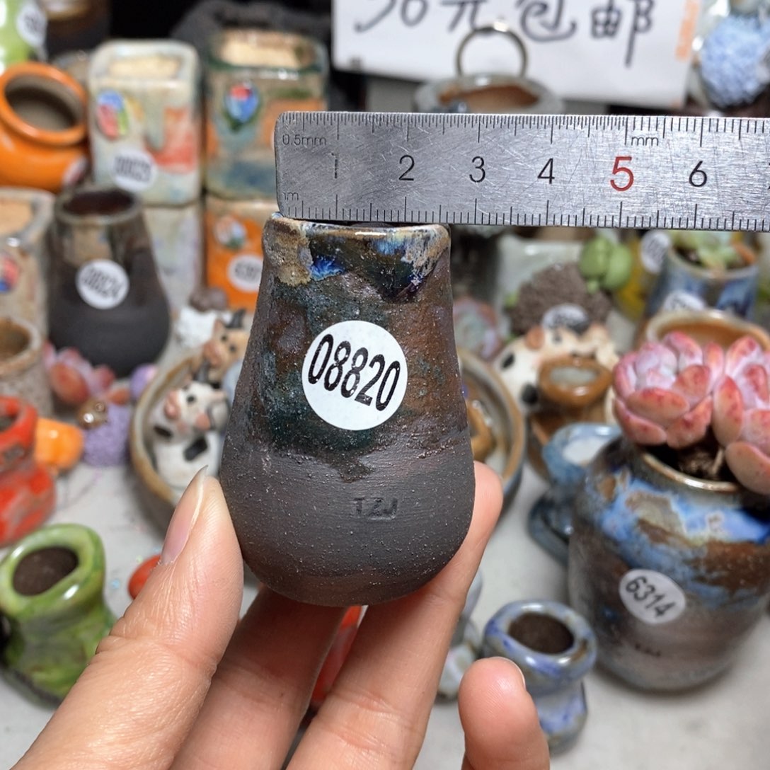 深***?花盆拍5送一个小礼物