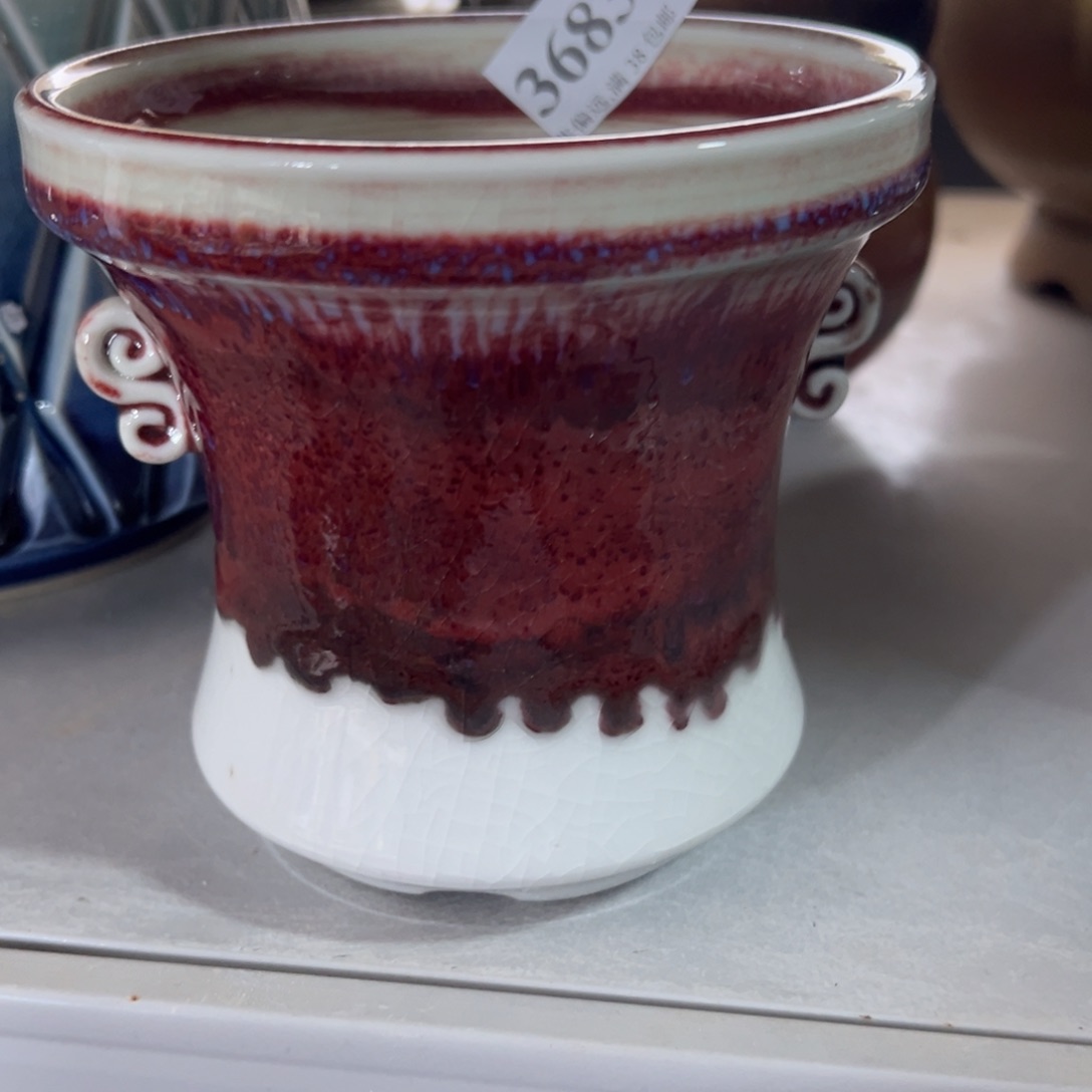 红陶口10高10福利