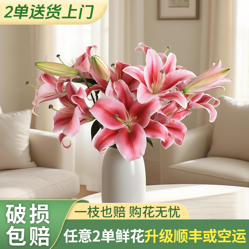 【两个老六卖花花】帕拉佐百合 任意2单升级快递 发货后不支持退款