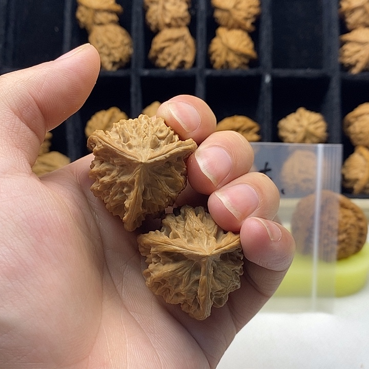 无花朵38盘山哈哈哈哈哈哈