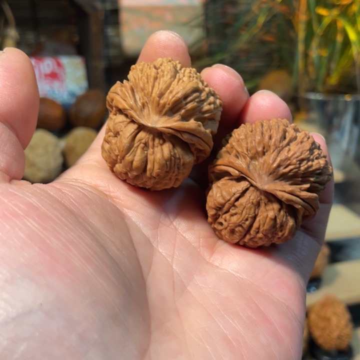 @***淡文玩核桃把件编号78