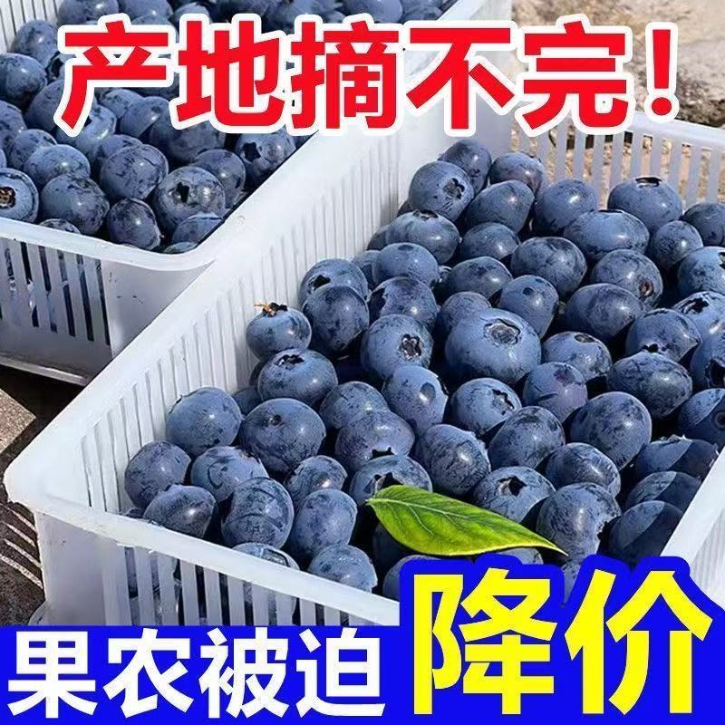 【送三盒大果】云南高山花香蓝莓现摘孕妇高端当季新鲜水果