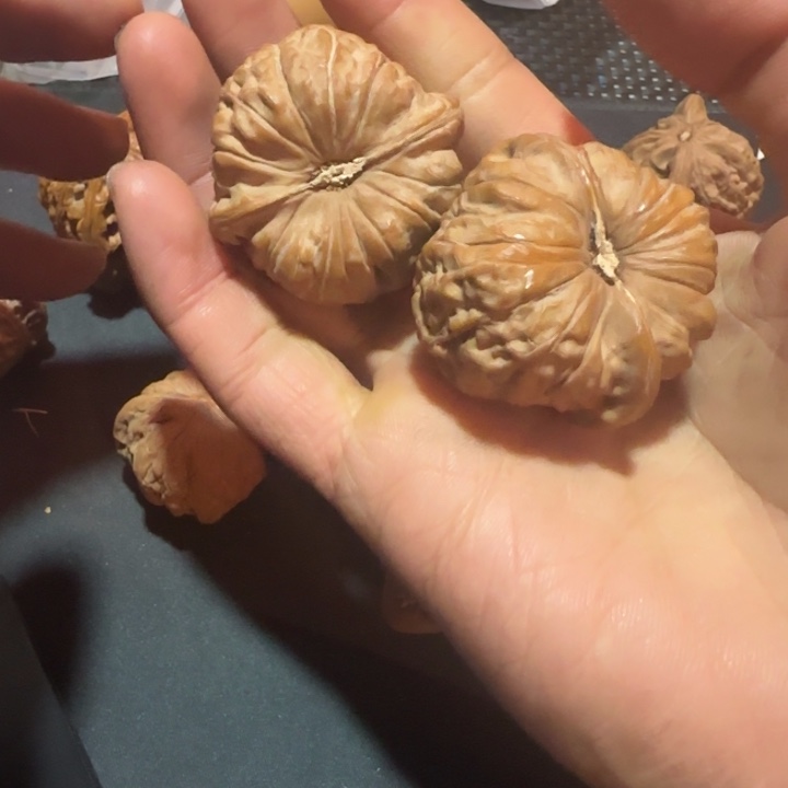 .***.文玩核桃把件南瓜墩