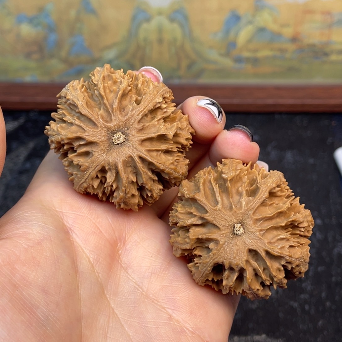 用***2文玩核桃把件43号43