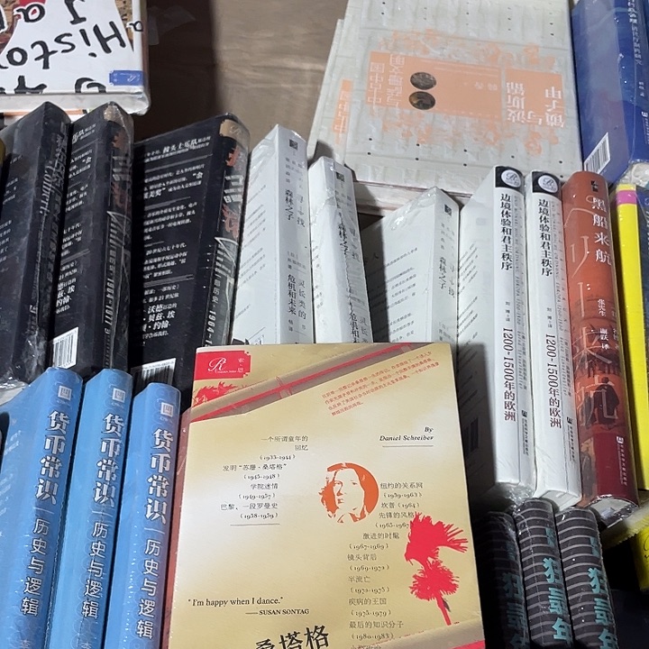 桑塔格微瑕微瑕微瑕4