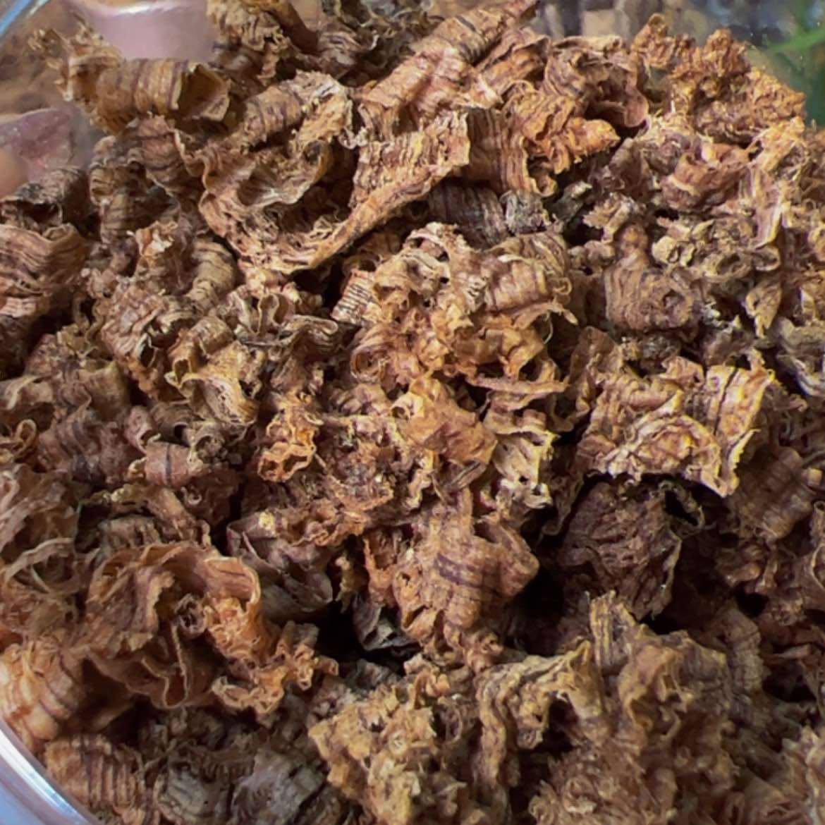 【闪购商品】沉香手把件海南野生沉香黄棋勾丝20克