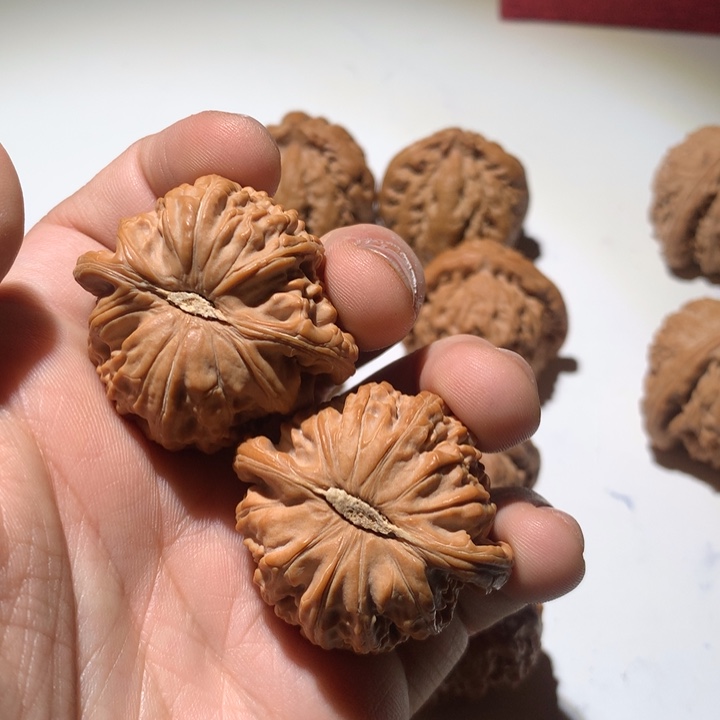 把件文玩核桃肌****来球白