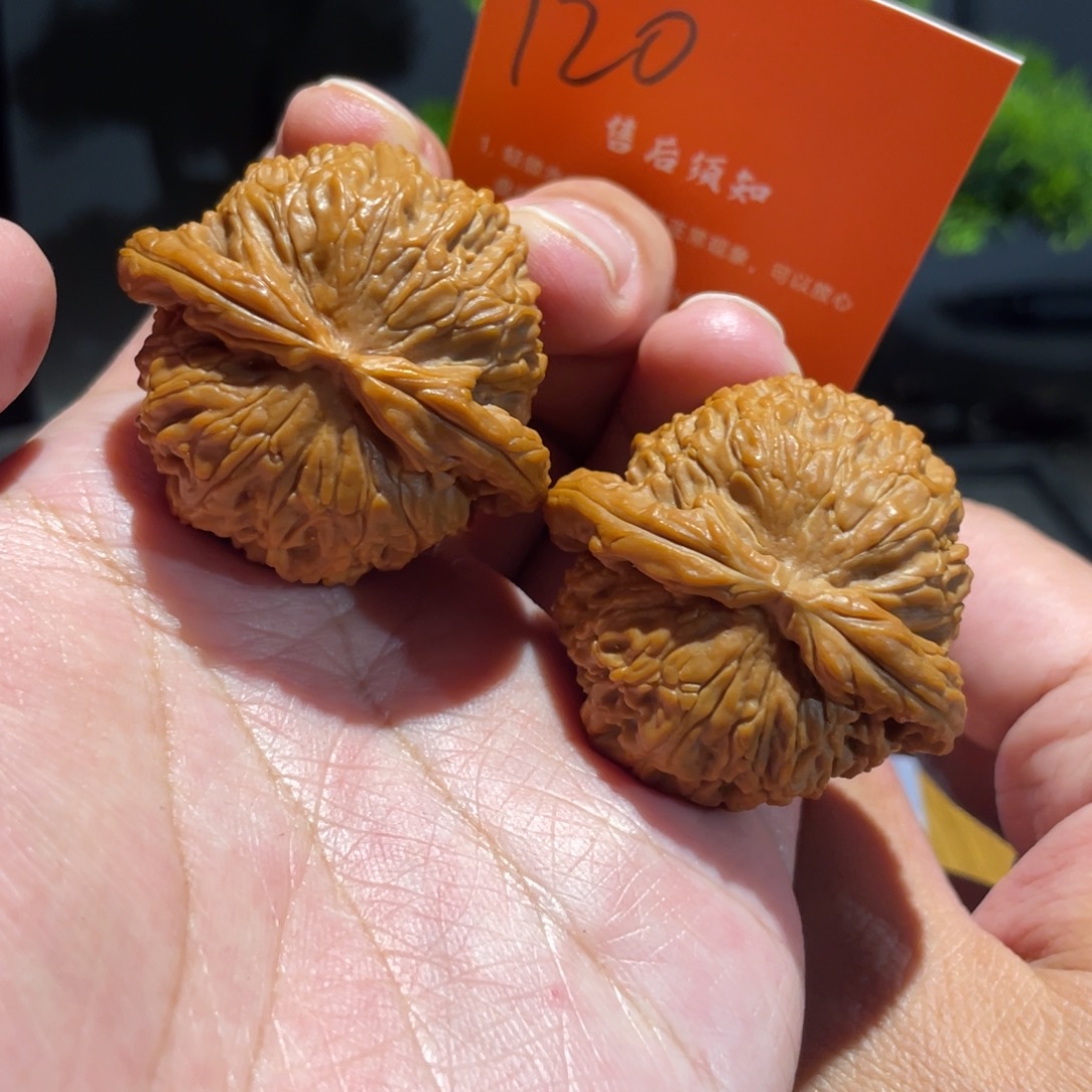 文玩核桃把件44闷白打底120