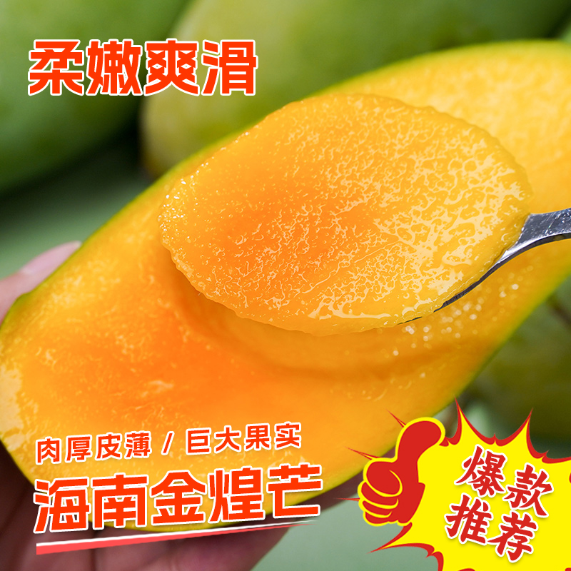 海南金煌芒当季新鲜芒果热带水果香甜多汁新鲜现摘大青芒果