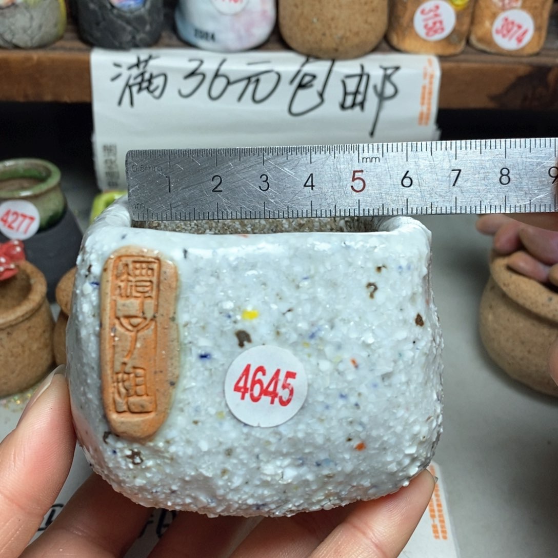 红陶拍5送一个小