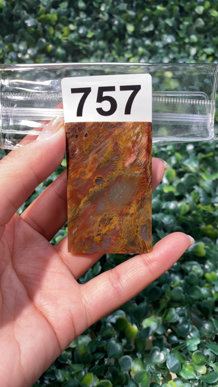 天然北票硅化玉牌子长：59mm宽：38mm厚：7mm