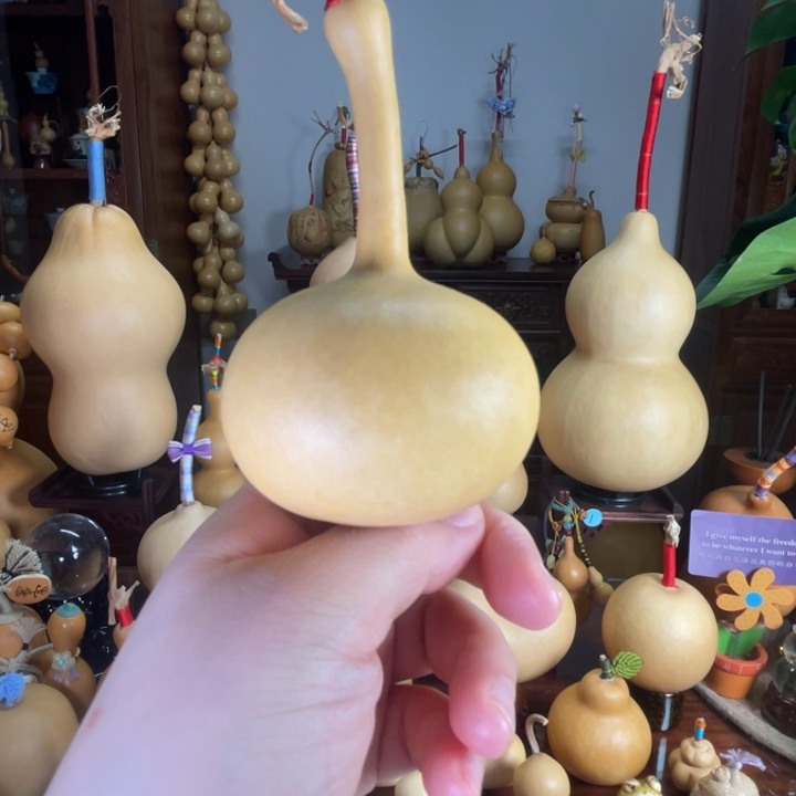 厚皮满籽独把胖胖葫芦