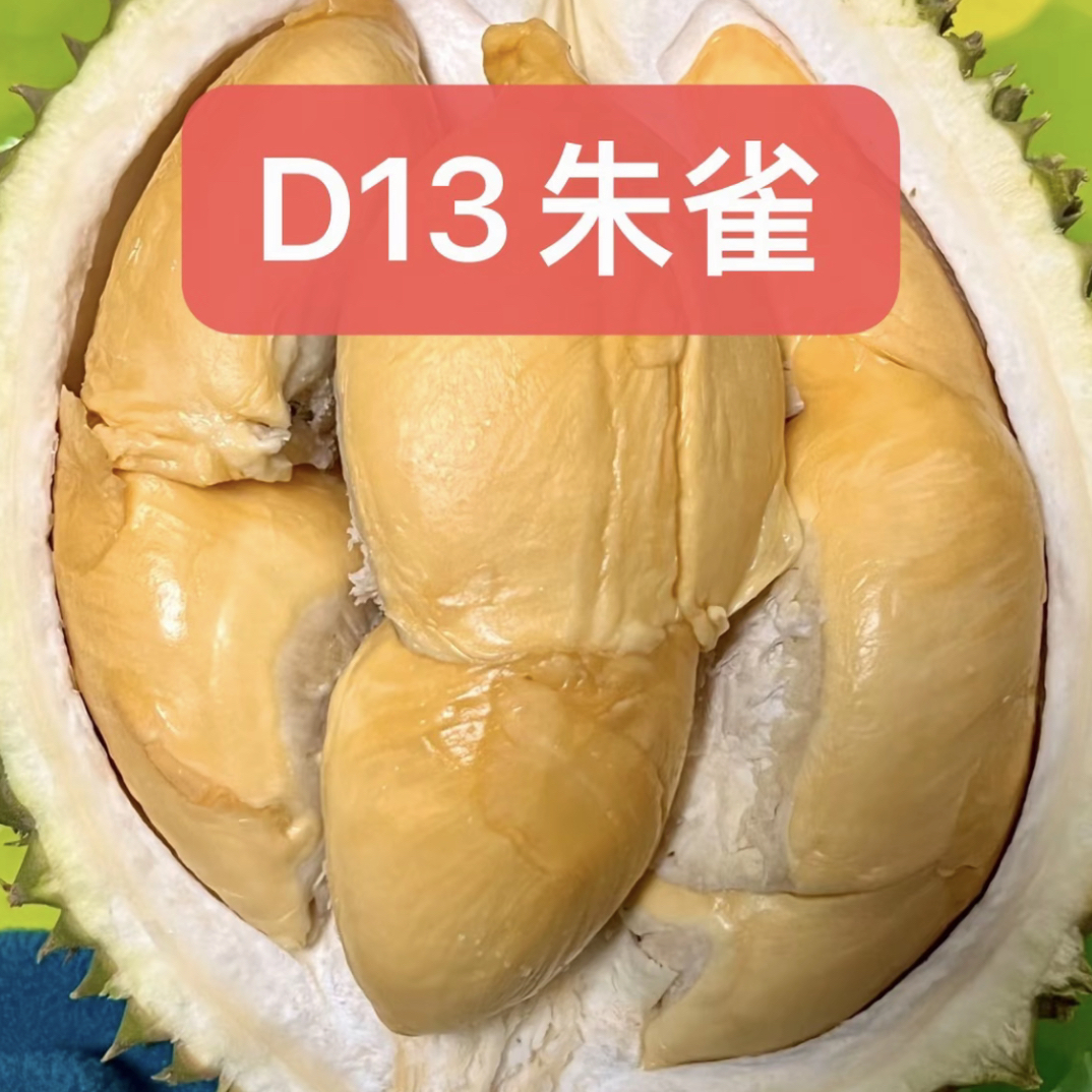 双节福利 黑刺的爷爷 朱雀D13液氮冷冻进口榴莲2.5斤左右（保4房）朱雀马来西亚