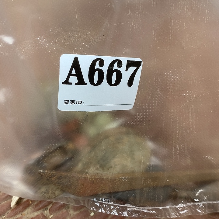 睡***星A667民俗老物件手工艺