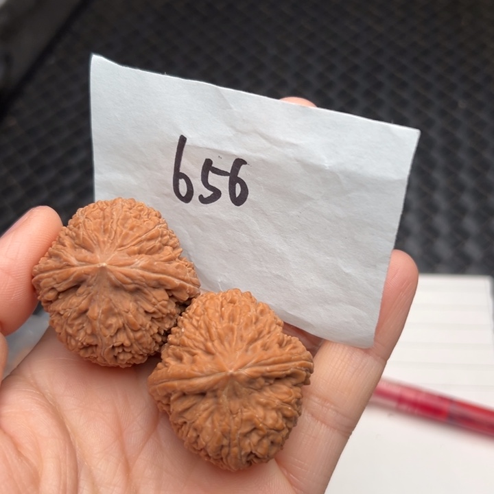 核桃36尺寸练手对大蒜头