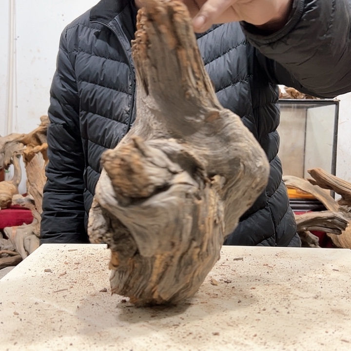 柏木金*钻我们的生活也是如此