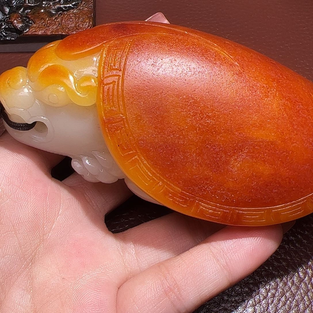 榴***莲收藏品龙龟拍一发一