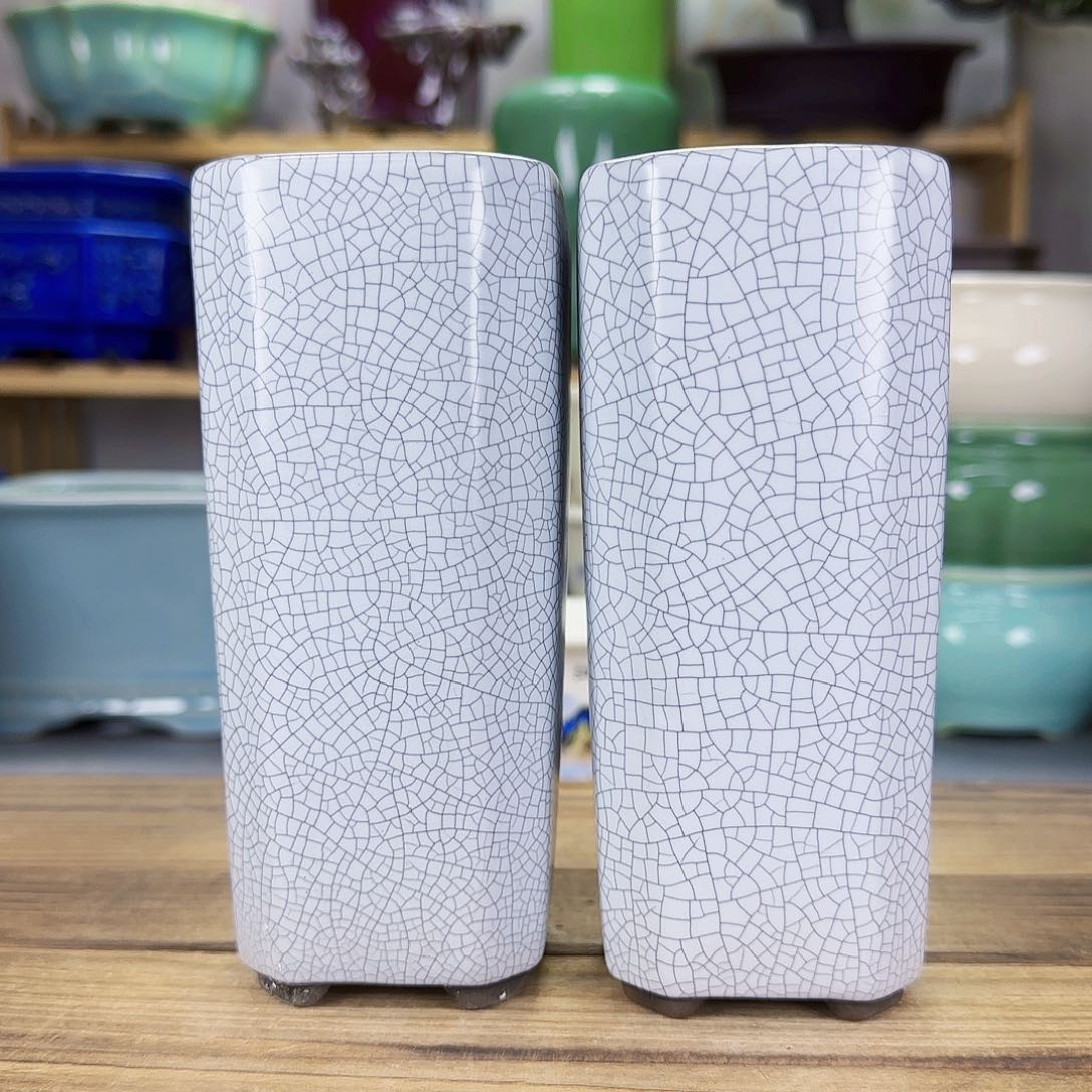 陶瓷花盆特价上新