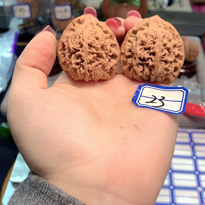 木质类满天星40尺寸