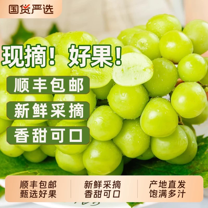 【顺丰速运礼盒】阳光玫瑰晴王葡萄脆甜多汁新鲜现摘果园直发无籽