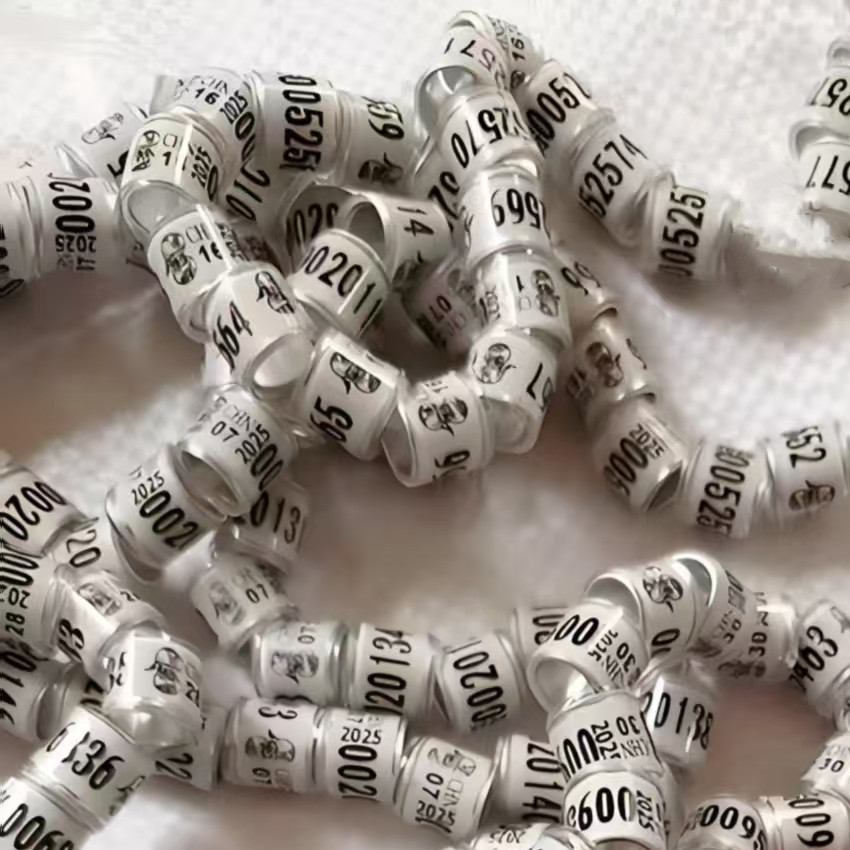 足环公棚俱乐部地方赛鸽子脚圈鸽用品