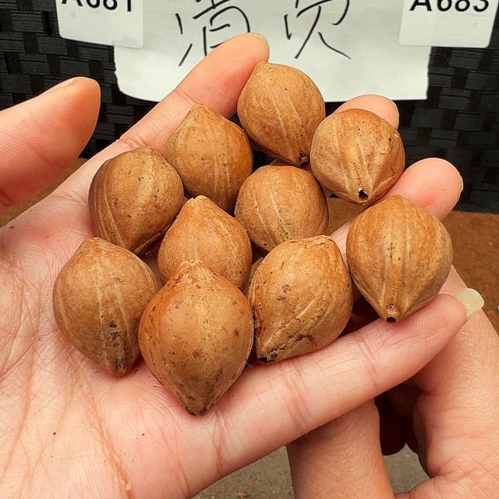 那***味手串/手链橄榄核橄榄