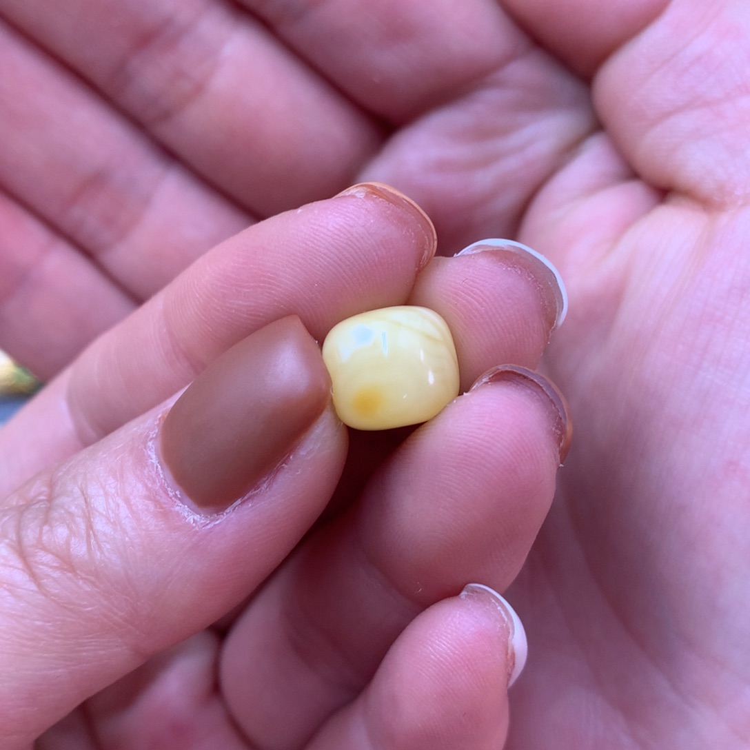 琥珀裸石未镶嵌亮蜜蜡