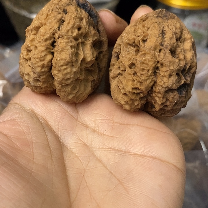 核桃云南铁核桃基地37
