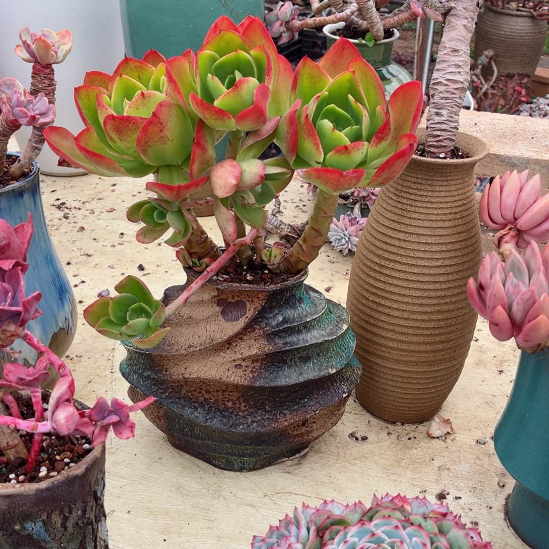 你是不是在外面l。你在，