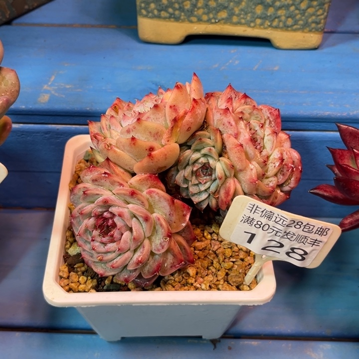 大128:¥，hdhggvhg