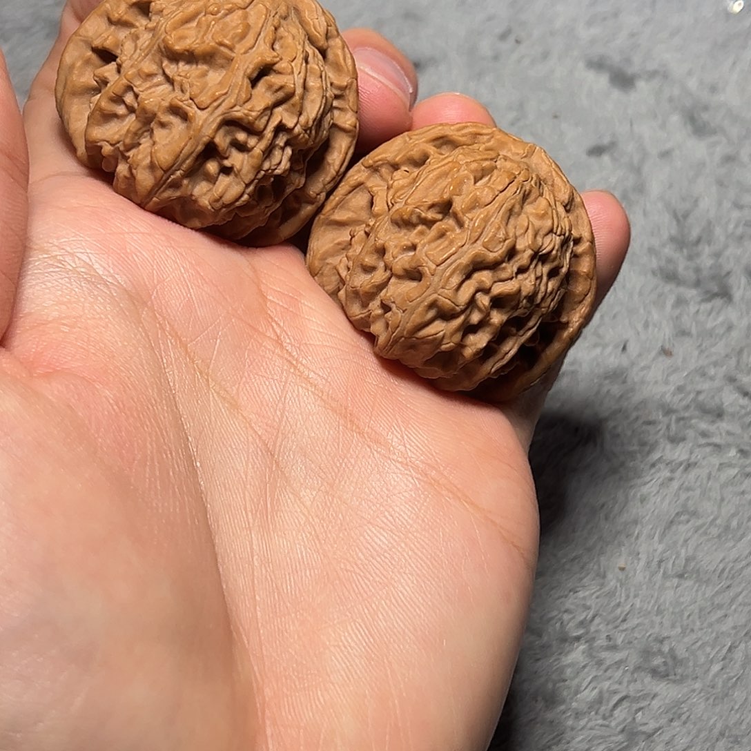 大叶紫檀（黑酸枝木类）
