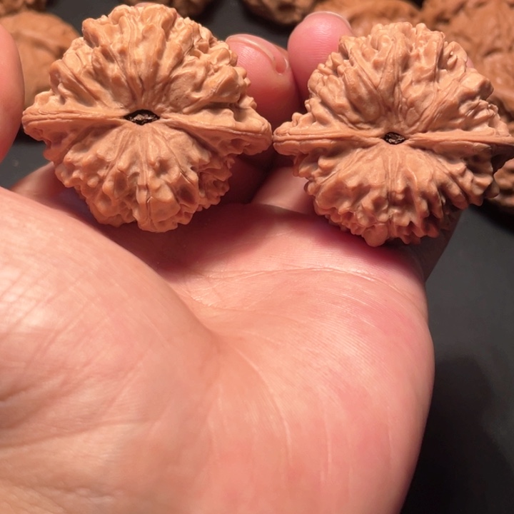 核桃44尺寸大官帽