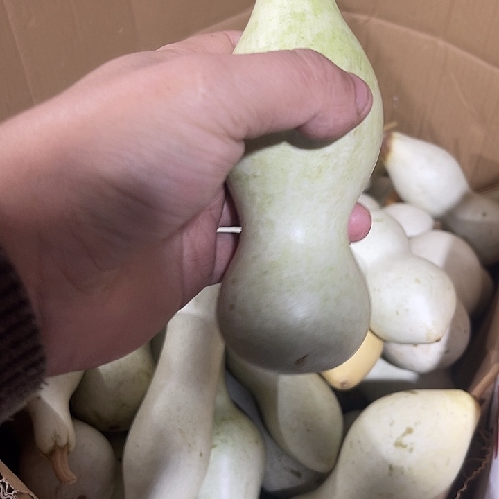 非洲紫檀（红花梨）弘**虫