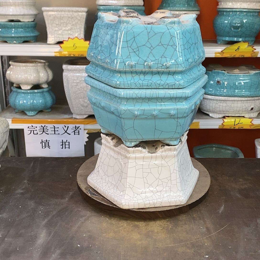 简**福花盆里的小猫咪