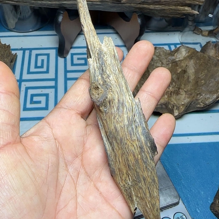 香粉母树绿奇陆河虫漏18克