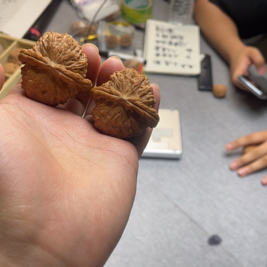 文玩核桃把件球白102