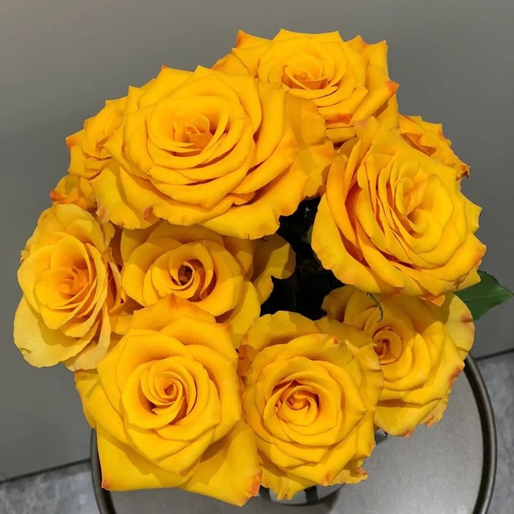 『辉煌』10枝 高品质 单头玫瑰 全场一单包邮 两单顺丰