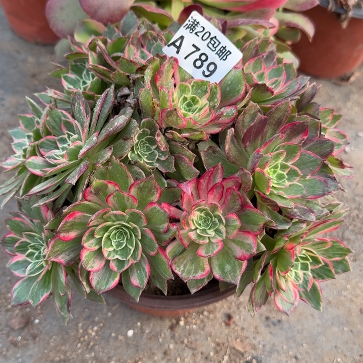 满20包邮，789万花筒